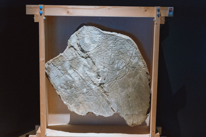 L1010944