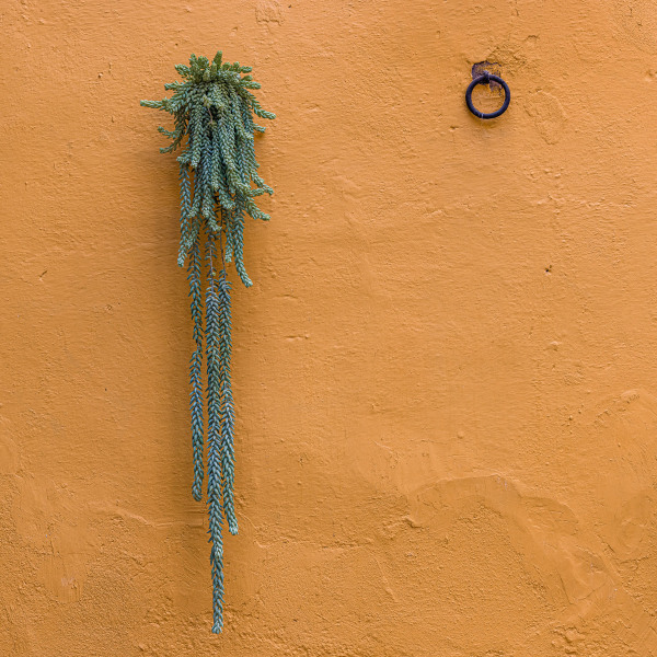 SANMIGUELDEALLENDE202100075