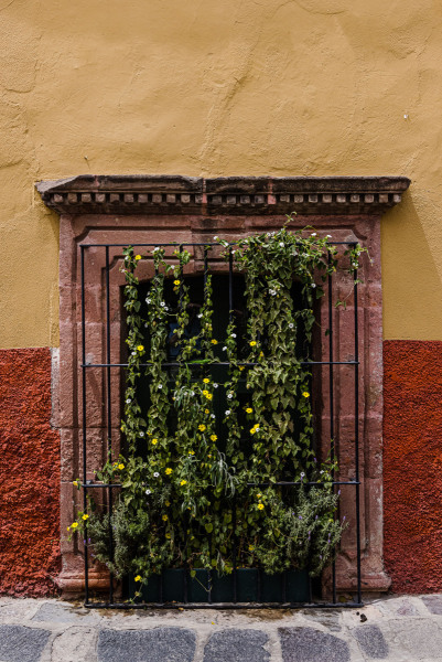 SANMIGUELDEALLENDE202100093